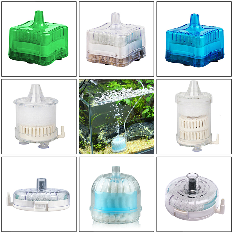 Box Fish In Aquarium - Mini Aquarium Spong Filter Air Oxygen