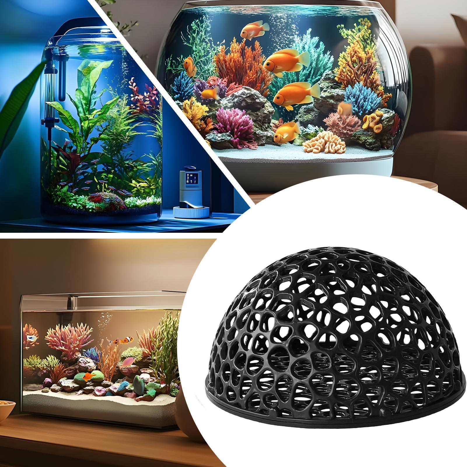 Aquarium Fish Names - Shrimp Breeding Cave fish tank Shrimp