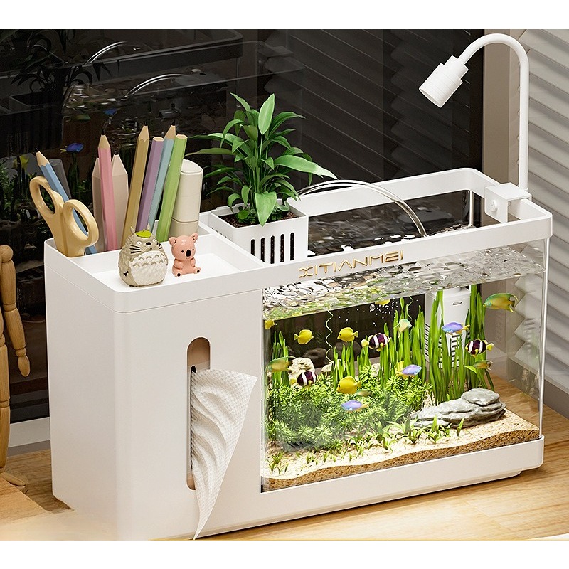 Box Fish In Aquarium - Household tissue box fish tank desktop