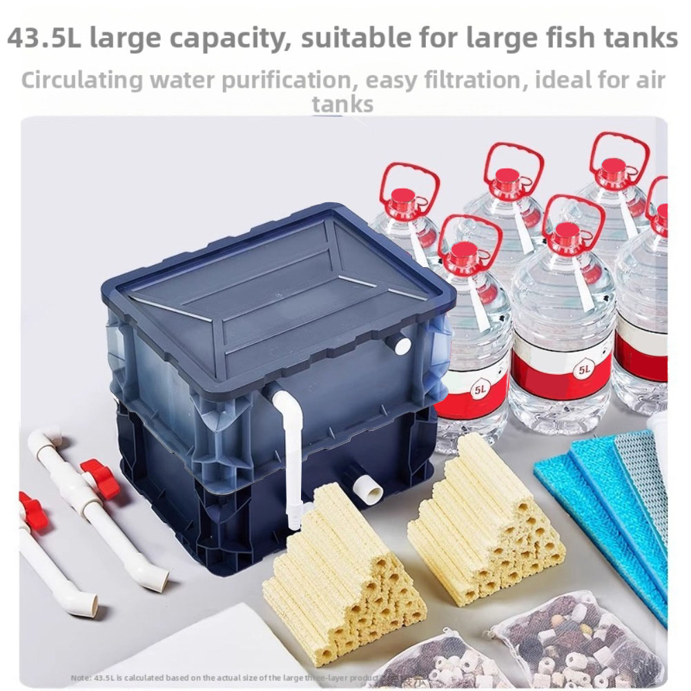 Box Fish In Aquarium - /Aquarium /Filter /Turnover Box 2 Layers
