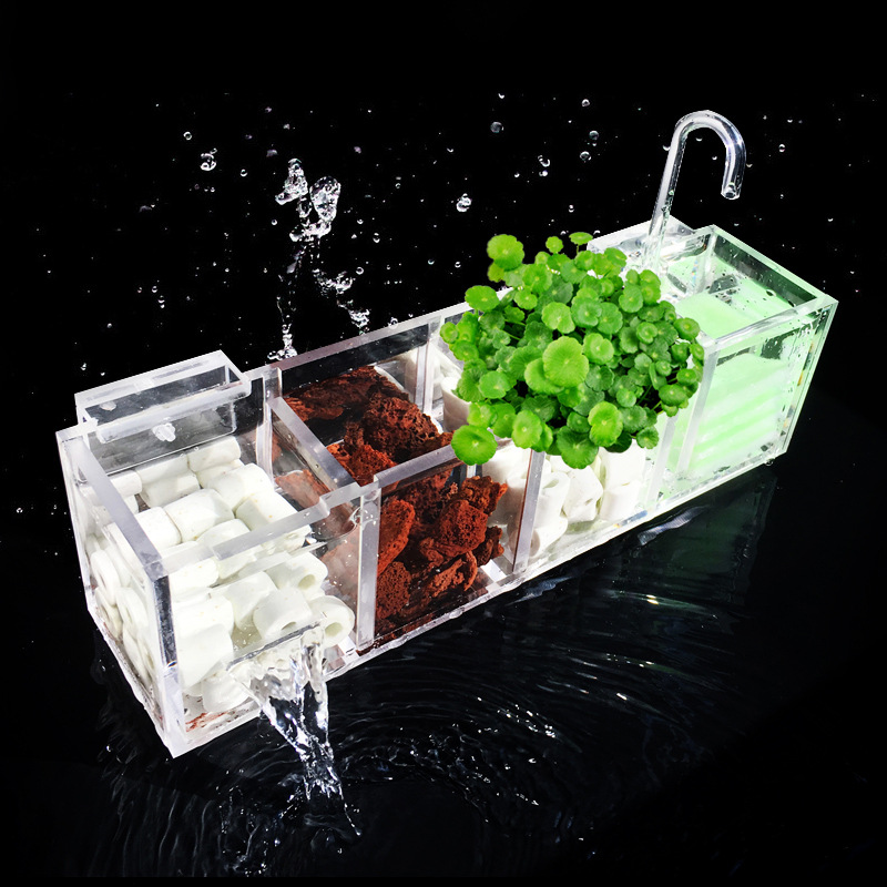 Box Fish In Aquarium - Aquarium External Filter Box Fish Tank