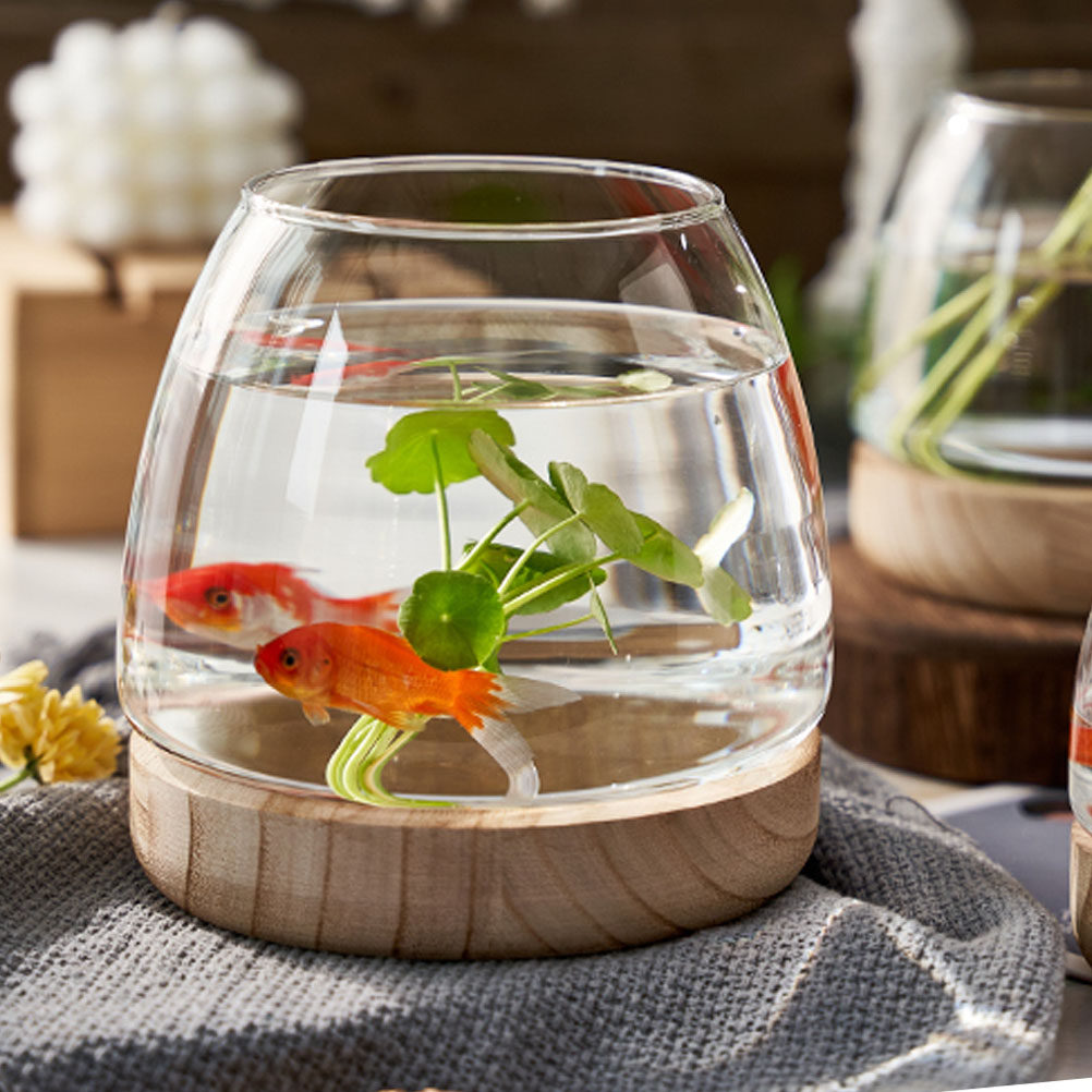 1Set Premium Glass Hydroponic  - огляд і ціна Aquarium Fish Glass