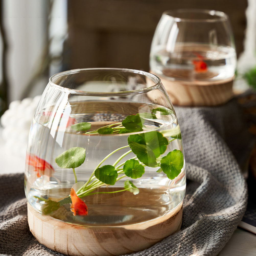1Set Premium Glass Hydroponic  - огляд і ціна Aquarium Fish Glass