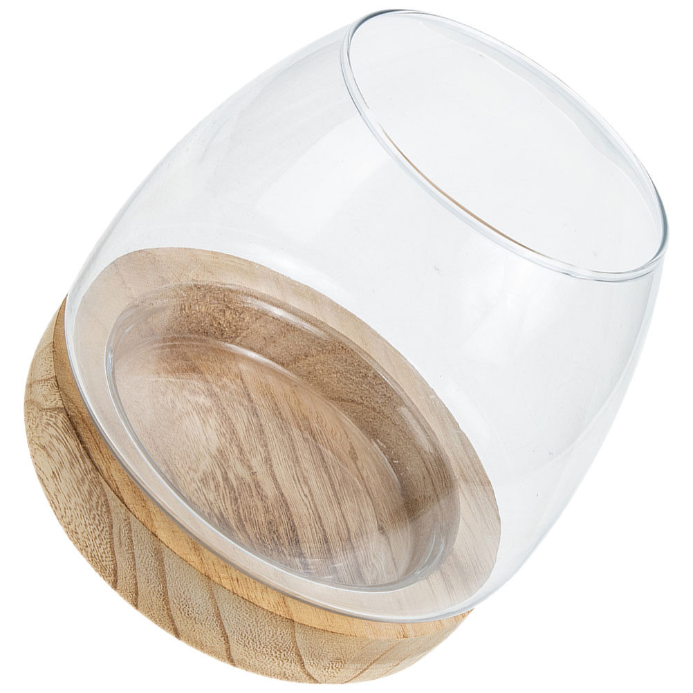 1Set Premium Glass Hydroponic  - огляд і ціна Aquarium Fish Glass