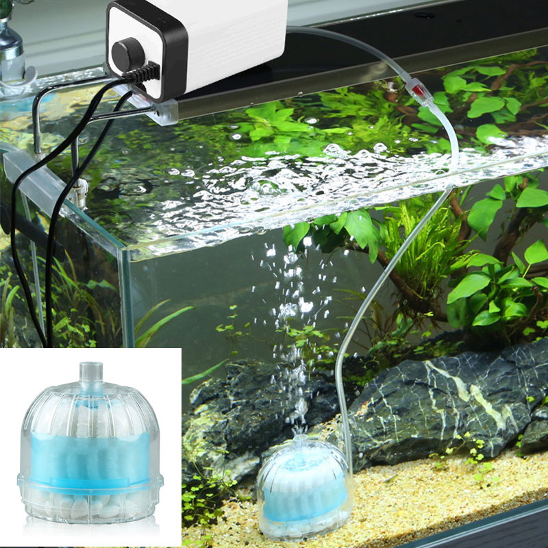 Mini Aquarium Spong Filter Air - огляд і ціна Box Fish In Aquarium