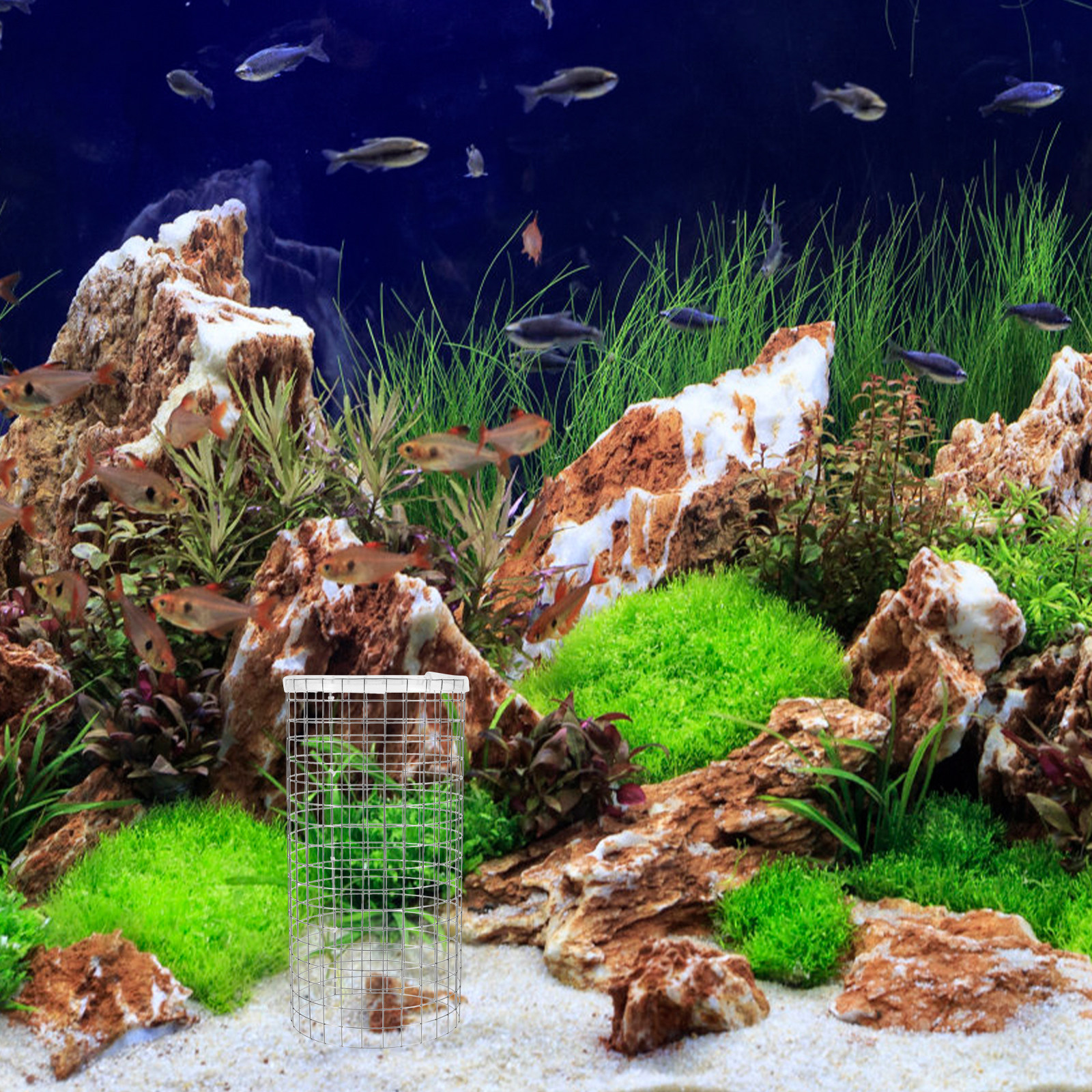 Angelfish Spawning Cone Grid I - огляд і ціна Aquarium Fish Net Small