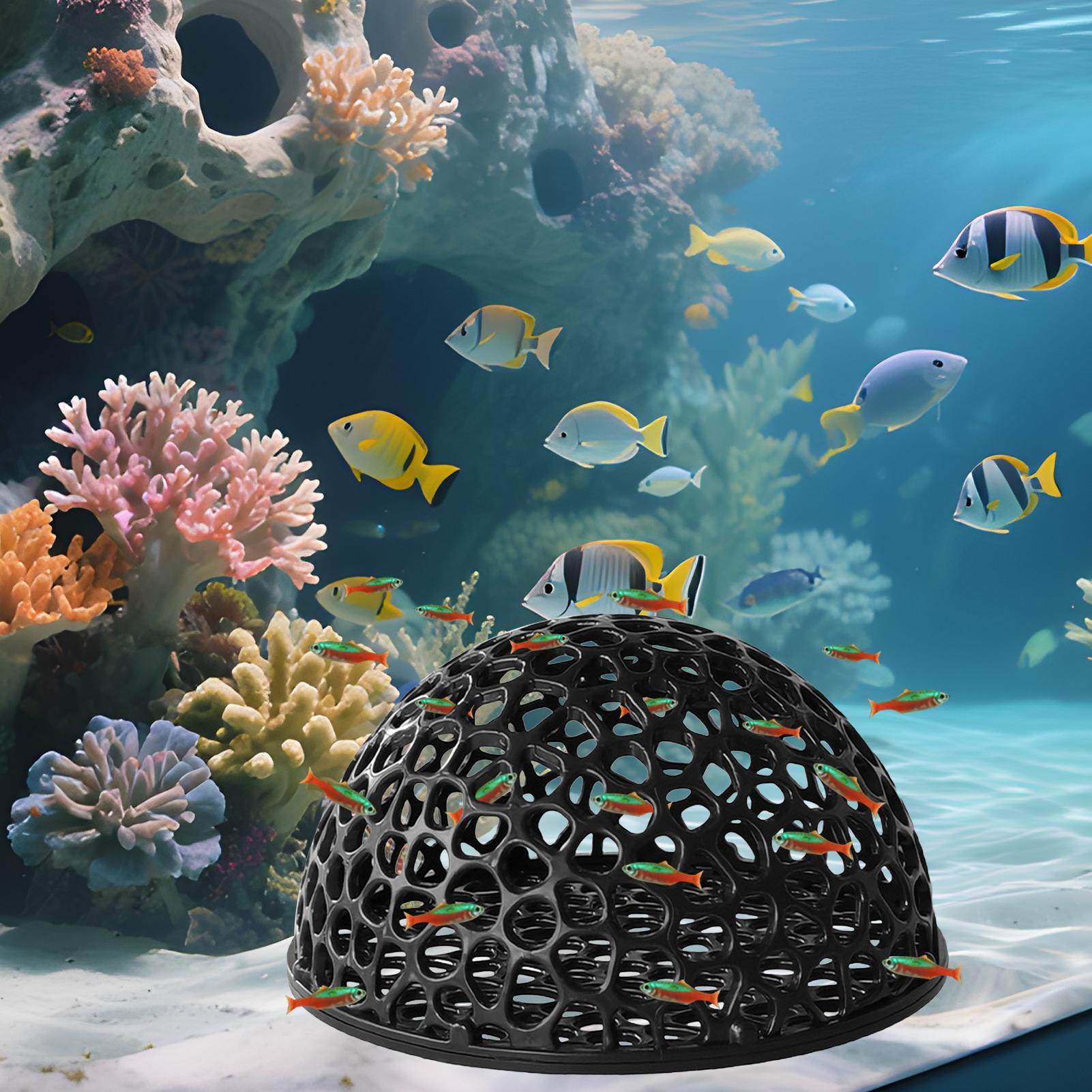Shrimp Breeding Cave fish tank - огляд і ціна Aquarium Fish Names