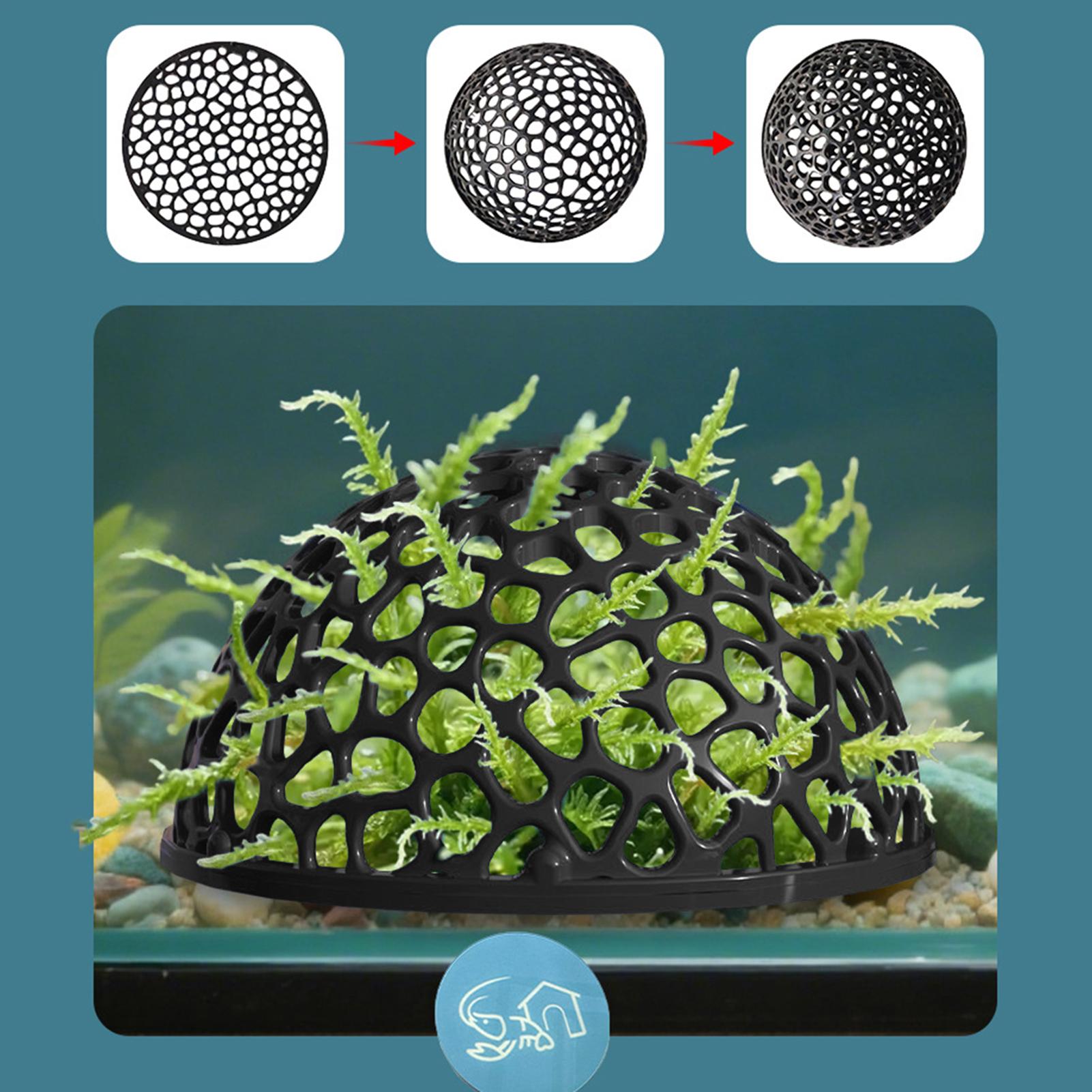 Shrimp Breeding Cave fish tank - огляд і ціна Aquarium Fish Names