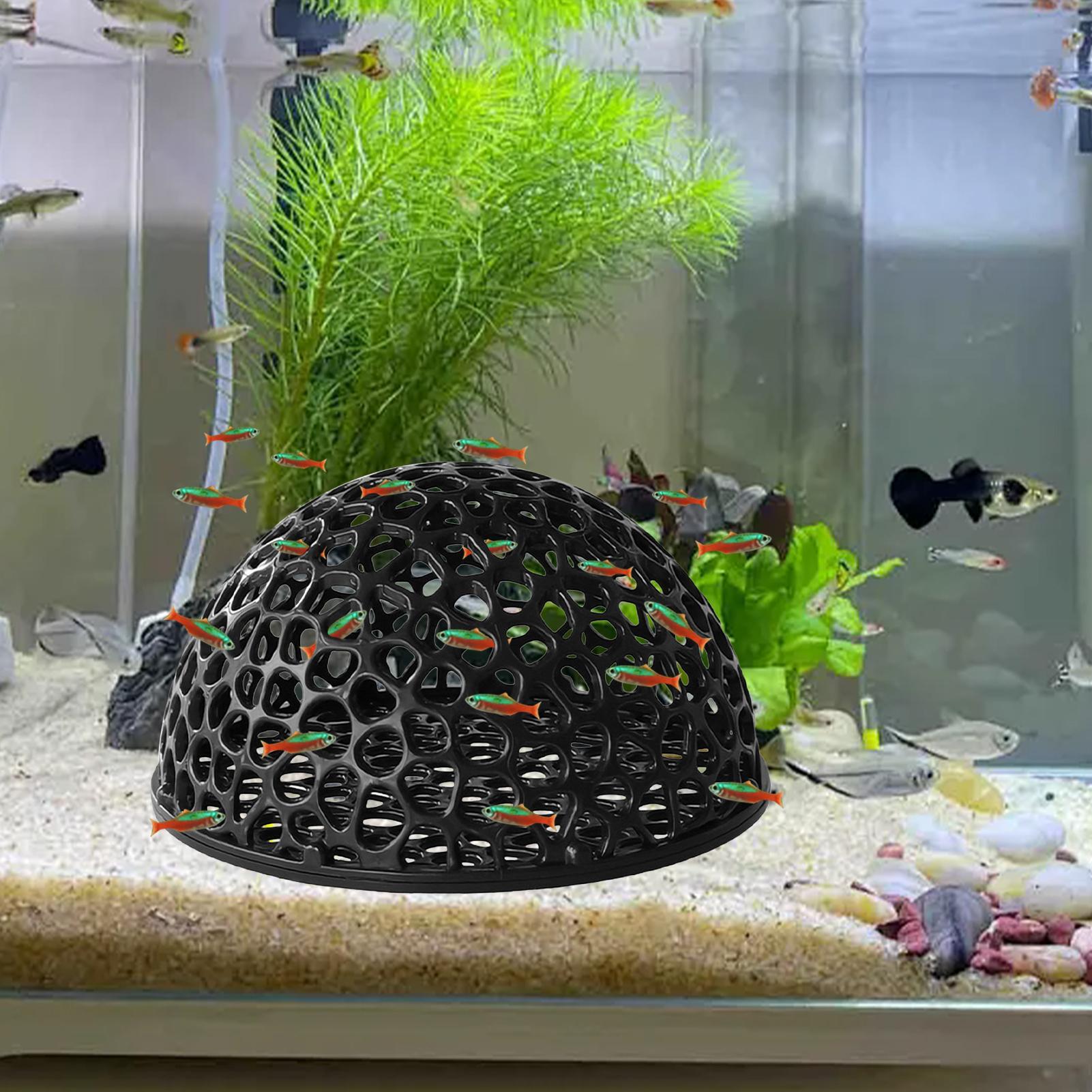 Shrimp Breeding Cave fish tank - огляд і ціна Aquarium Fish Names