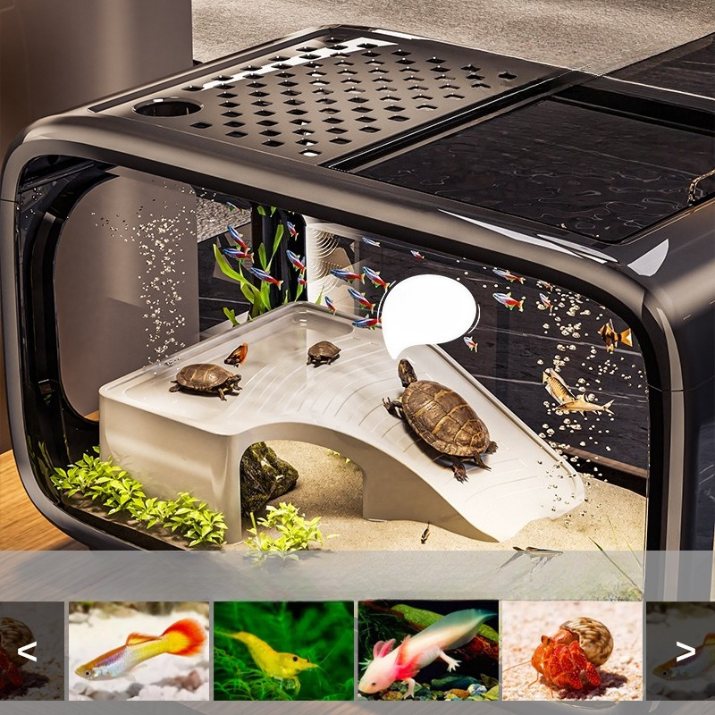Luxury Covered Desktop Fish Ta - огляд і ціна Aquarium Fish Names