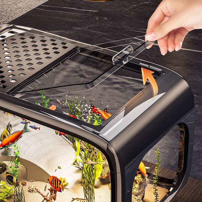 Luxury Covered Desktop Fish Ta - огляд і ціна Aquarium Fish Names