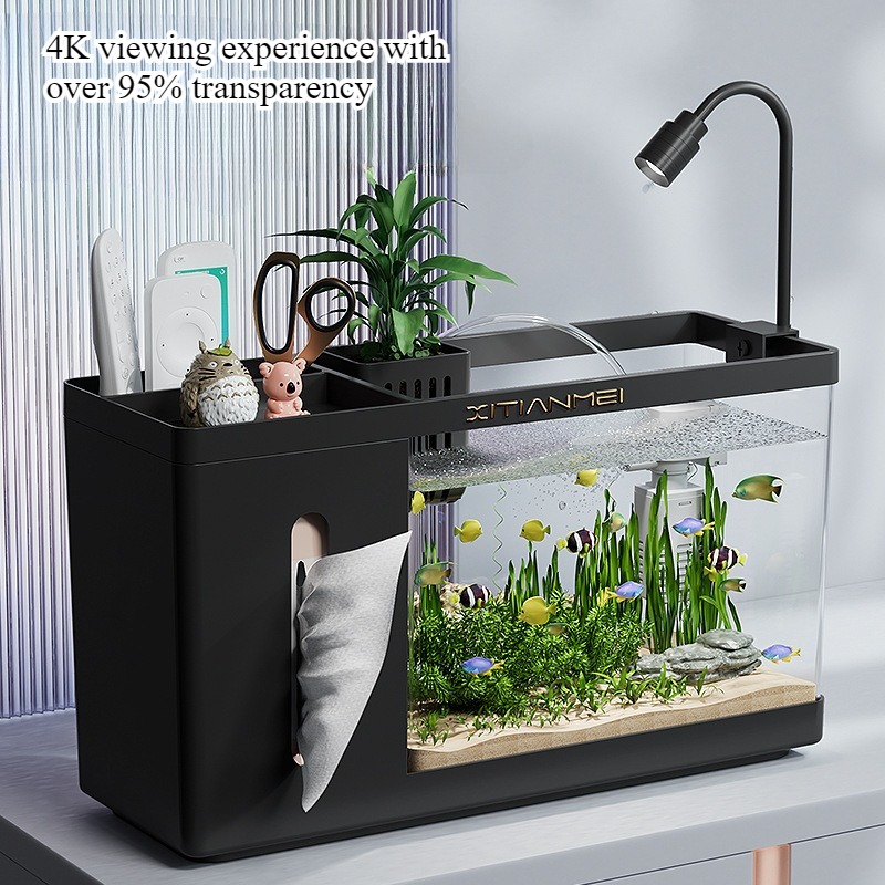 Household tissue box fish tank - огляд і ціна Box Fish In Aquarium