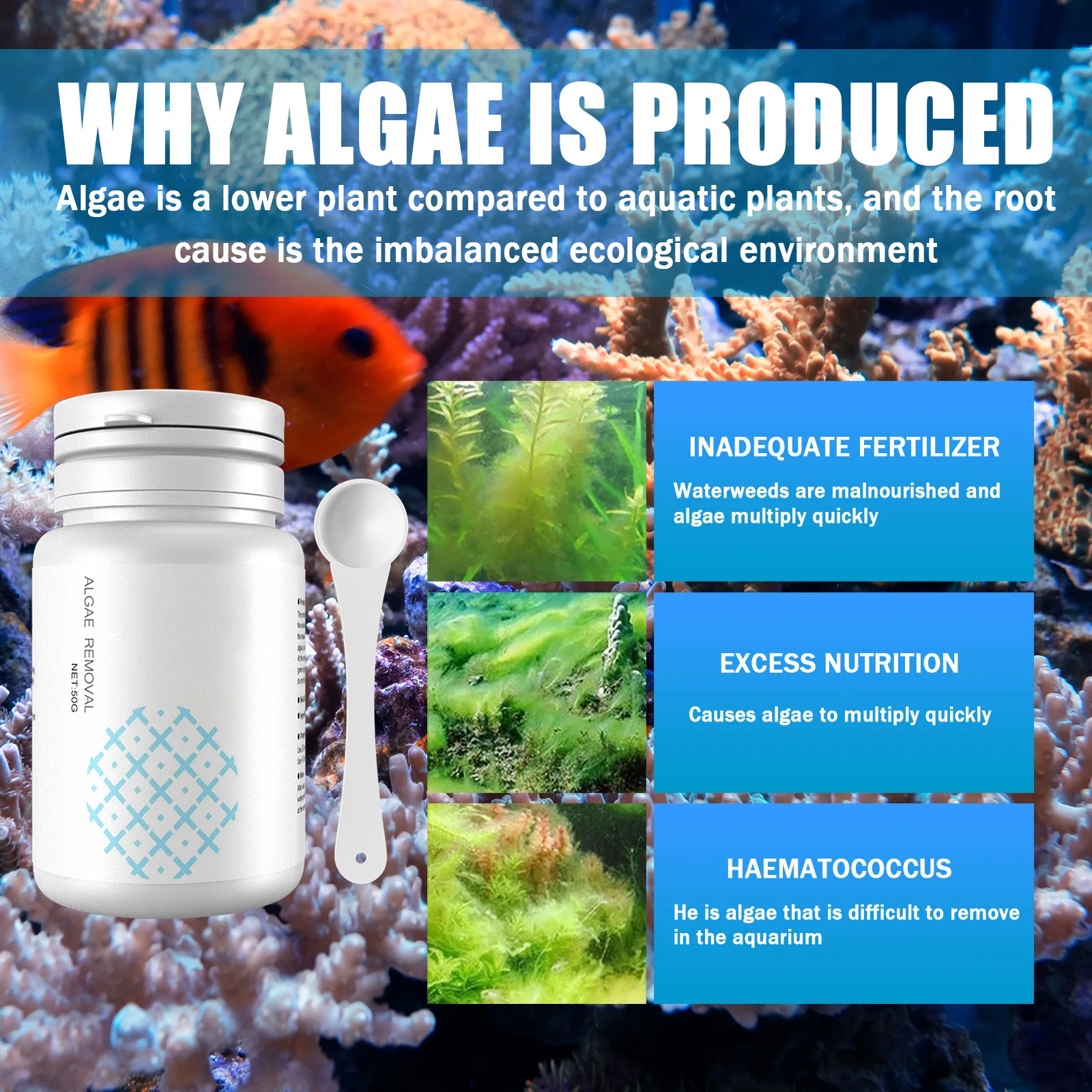 Algae Control Tablets for Aqua - огляд і ціна Aquarium Fish Vitamin