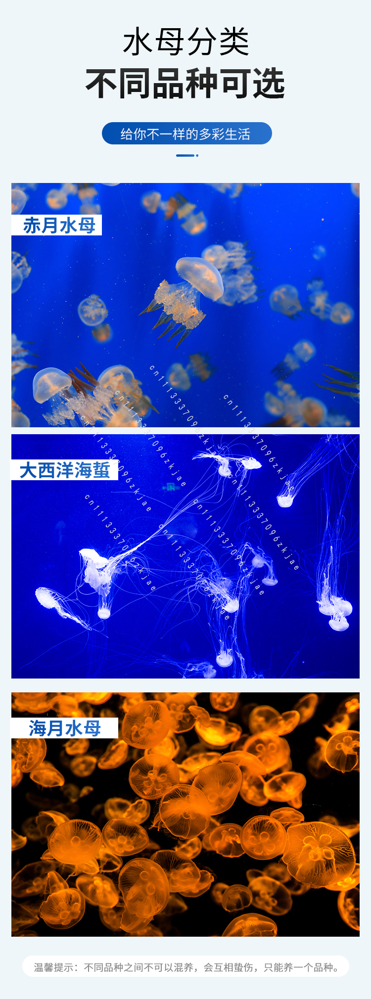 8L/18L/50L Acrylic Jellyfish F - огляд і ціна Aquarium Fish Glass