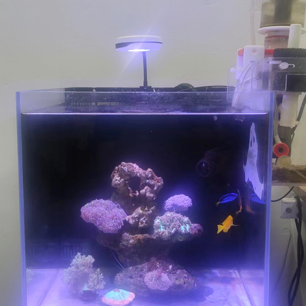 Spectra 20W LED Aquarium Light - огляд і ціна Refugium Light Nano