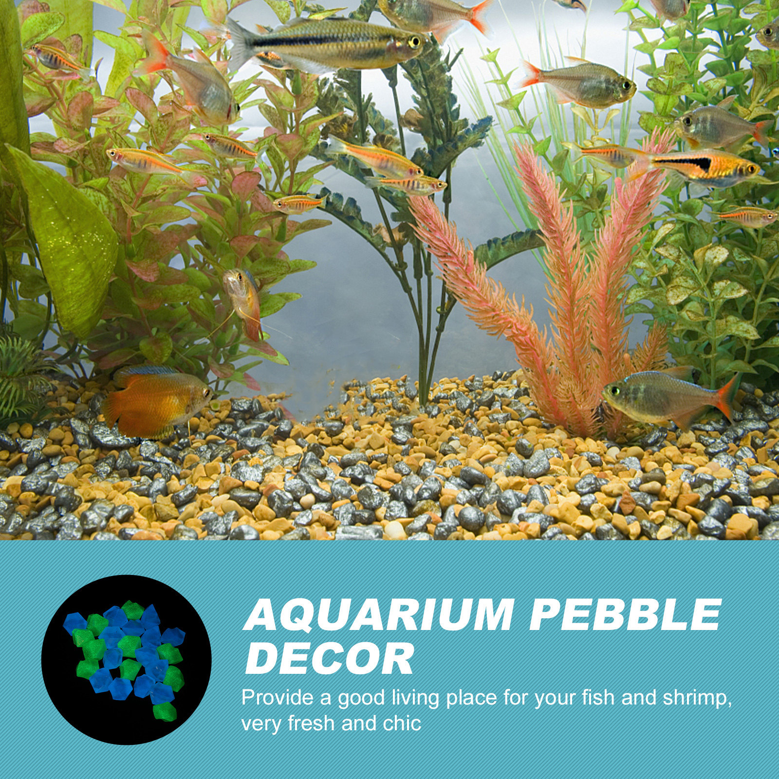 300Pcs Luminous Blue Green Res - огляд і ціна Aquarium Fish Light