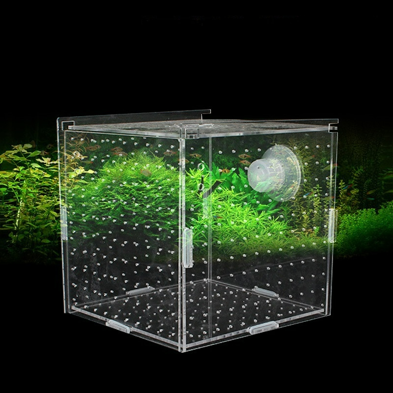 Acrylic Isolation Box Fish Tan - огляд і ціна Aquarium Fish Net Small