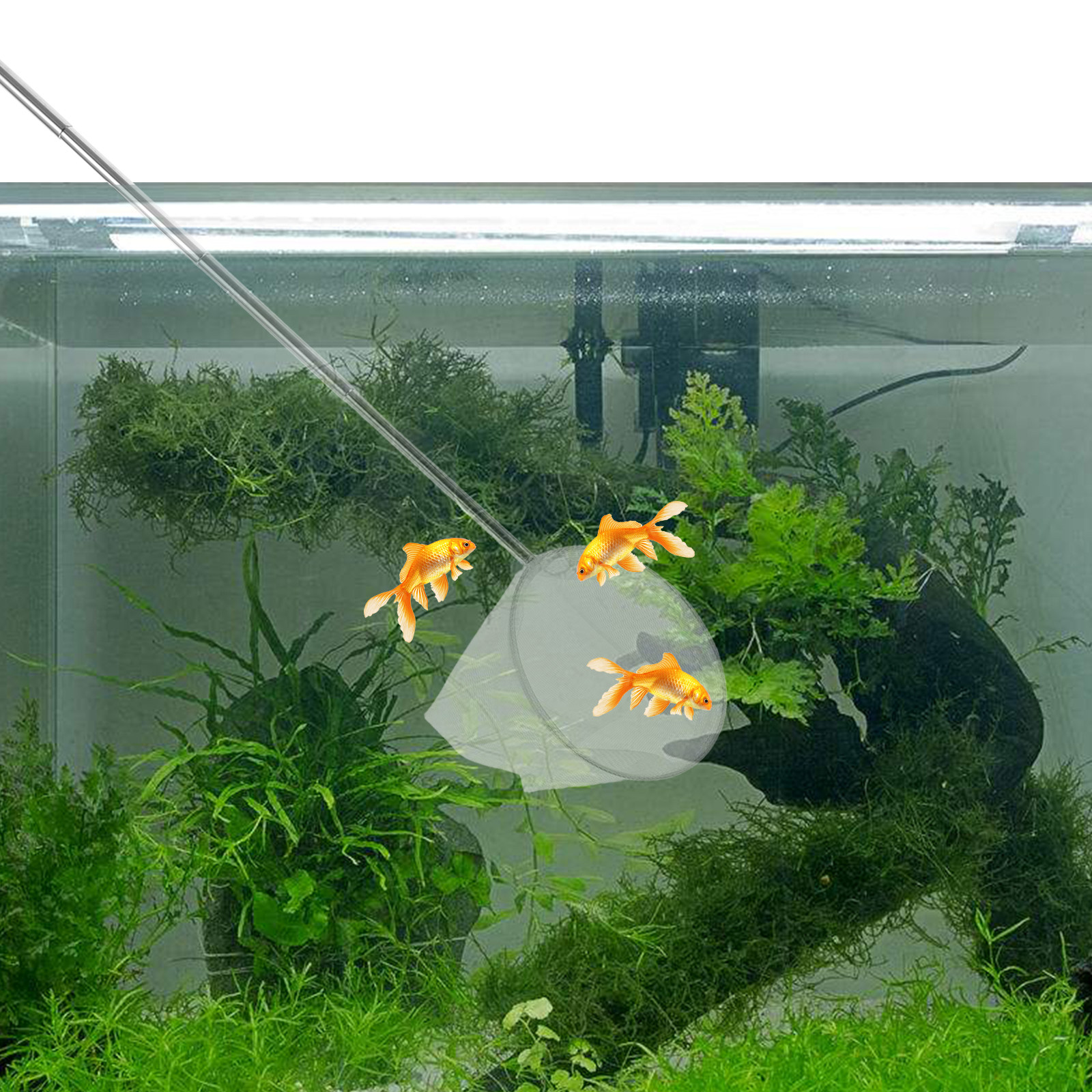 Stainless Steel Telescopic Aqu - огляд і ціна Aquarium Fish Net Small