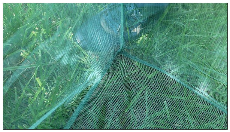 Fishing 3mm Stake Small Mesh C - огляд і ціна Aquarium Fish Net Small