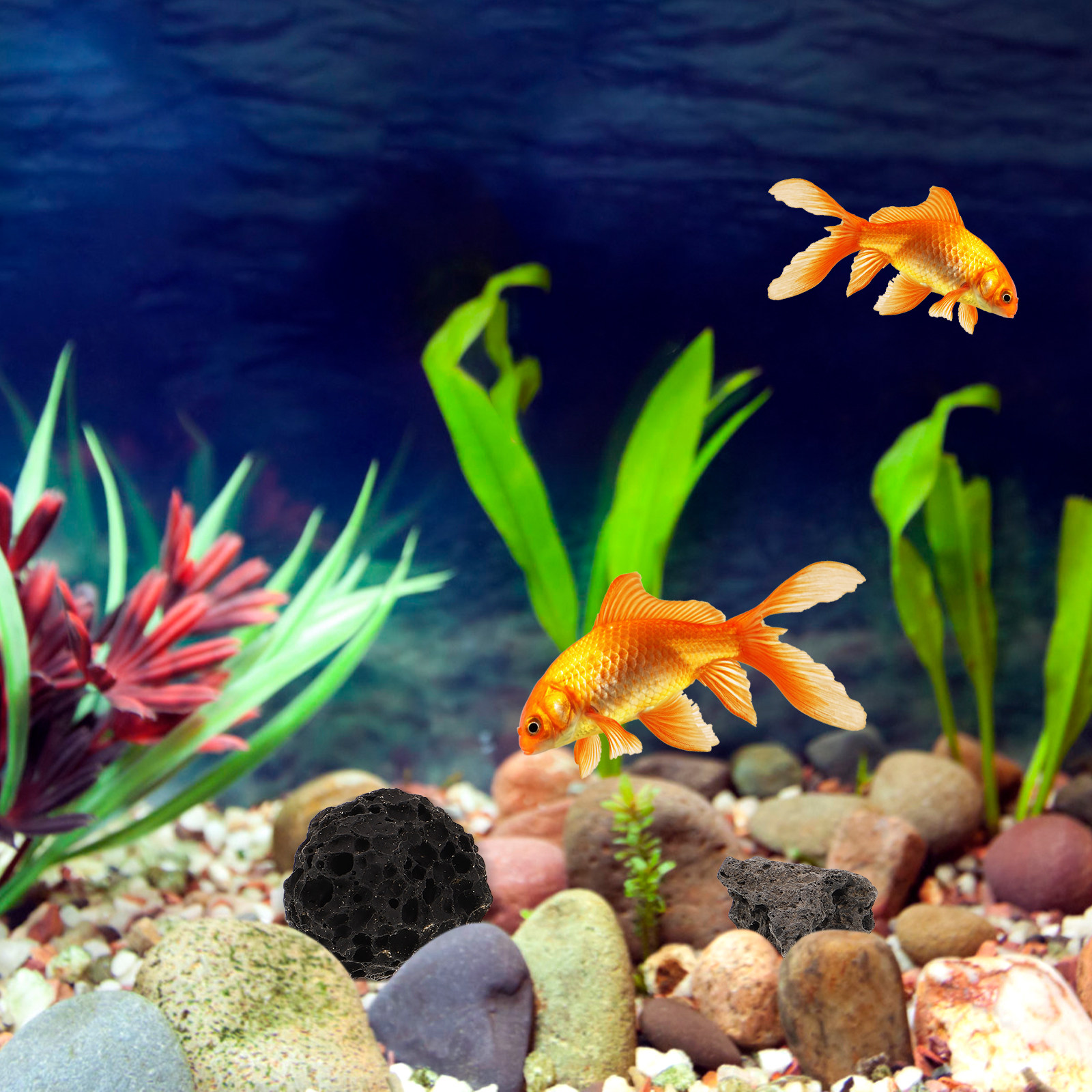 Volcanic Rock Ornaments Natura - огляд і ціна Aquarium Fish Pot