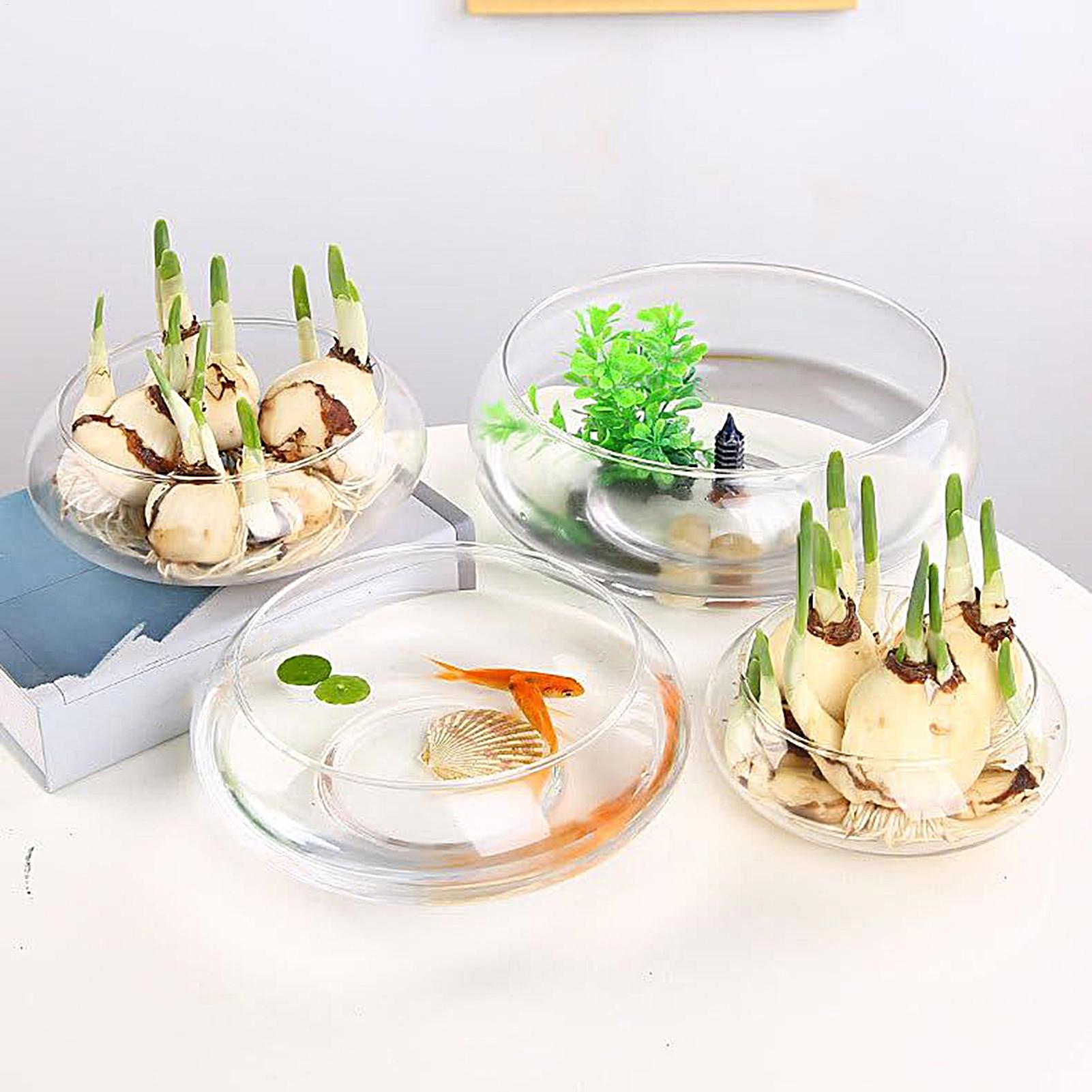 Fish Glass Bowl Glass Large Hy - огляд і ціна Aquarium Fish Pot