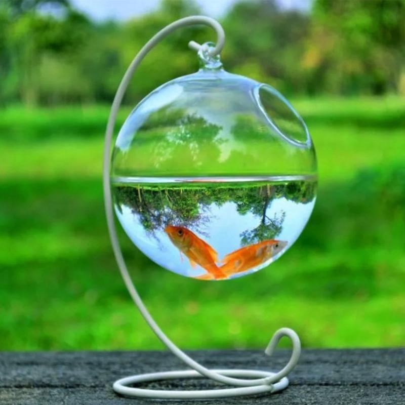 Transparent Spherical Glass Ha - огляд і ціна Aquarium Fish Glass
