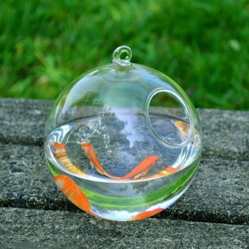 Transparent Spherical Glass Ha - огляд і ціна Aquarium Fish Glass
