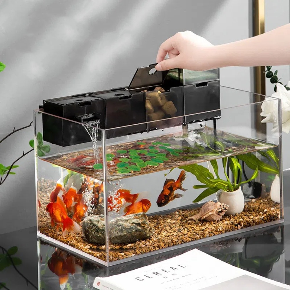 Three-in-one External Aquarium - огляд і ціна Box Fish In Aquarium