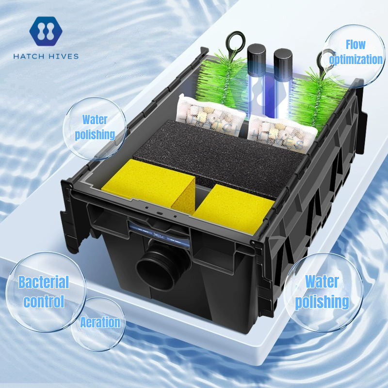 Koi Pond Clear Water Solution  - огляд і ціна Box Fish In Aquarium