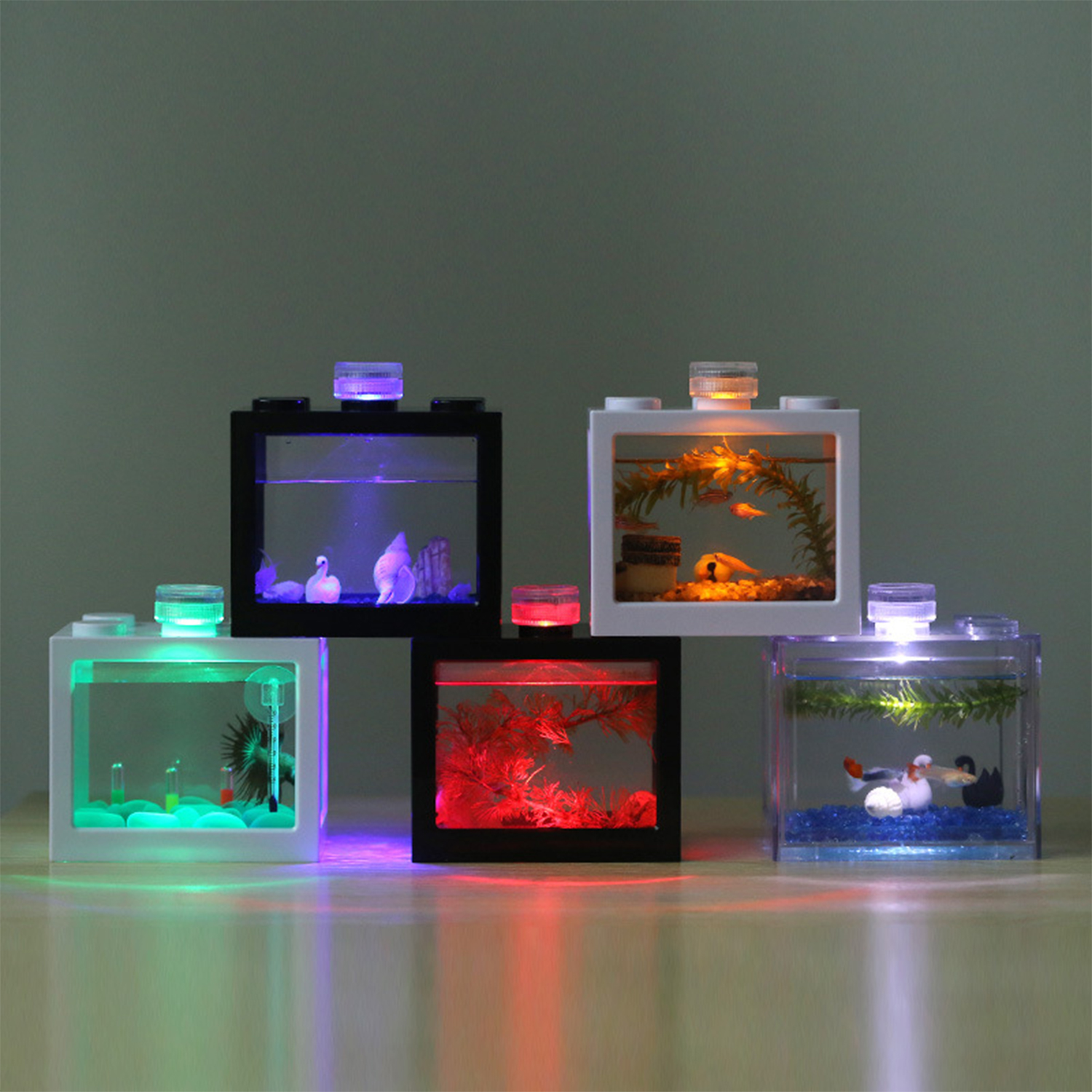 Plastic Betta Fish Tank  Aquar - огляд і ціна Box Fish In Aquarium