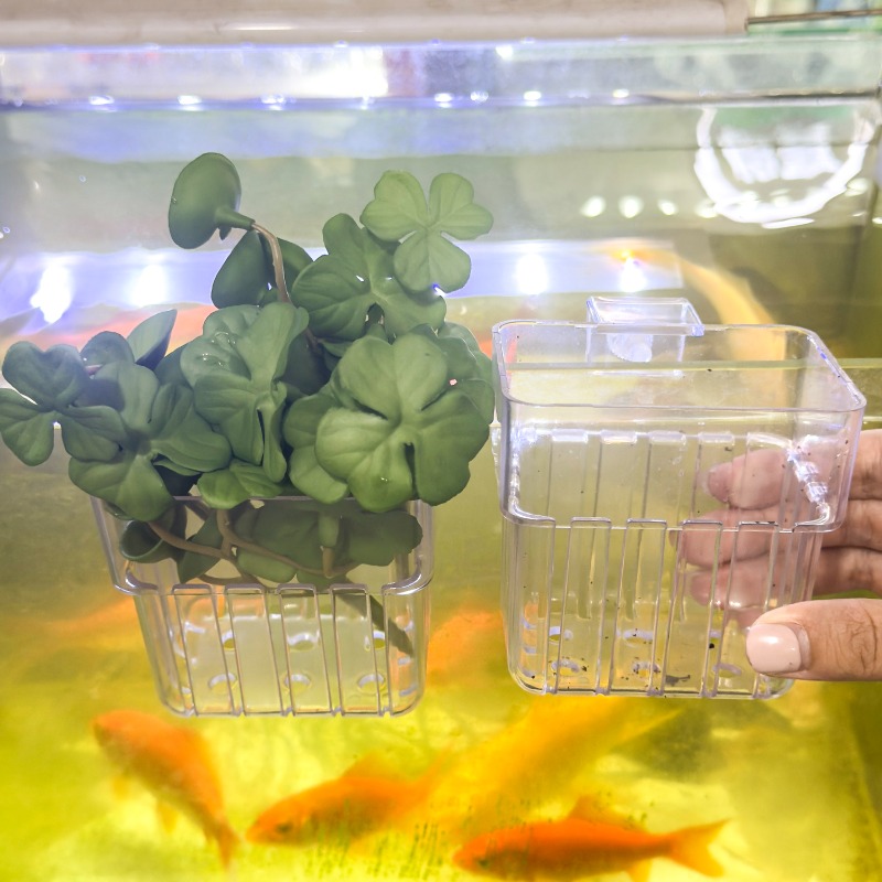 1/5pcs Aquarium Decoration Pla - огляд і ціна Aquarium Fish Pot
