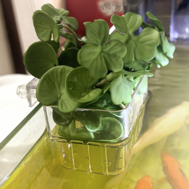 1/5pcs Aquarium Decoration Pla - огляд і ціна Aquarium Fish Pot