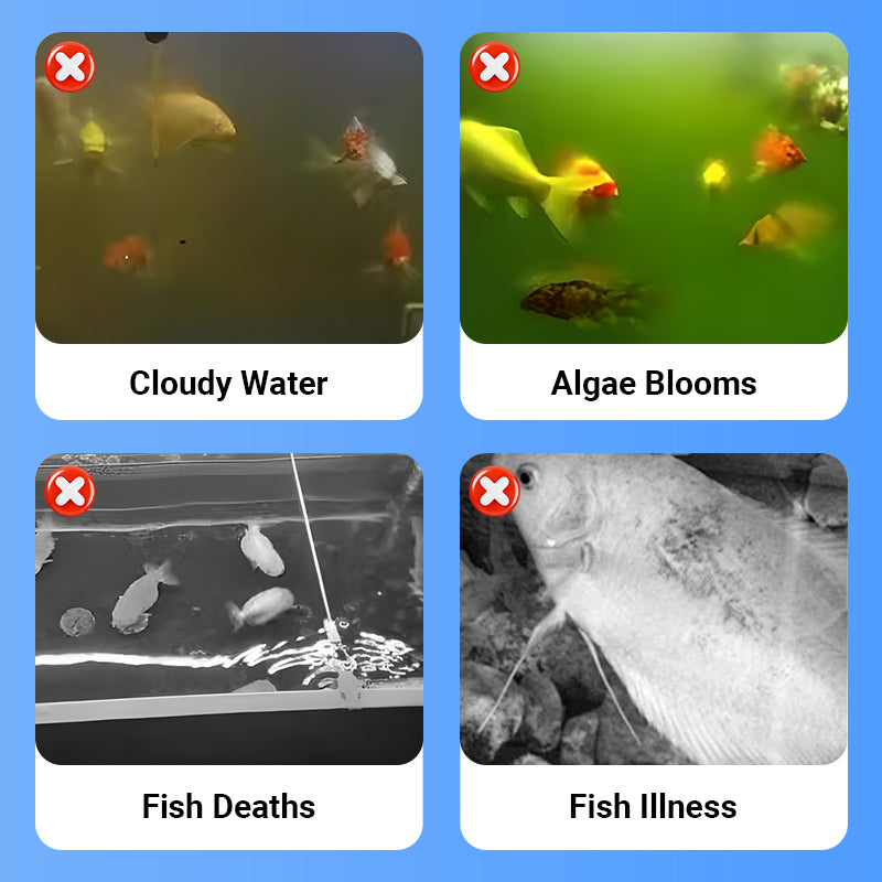 Fish Tank Water Clarifier + Me - огляд і ціна Aquarium Fish Vitamin