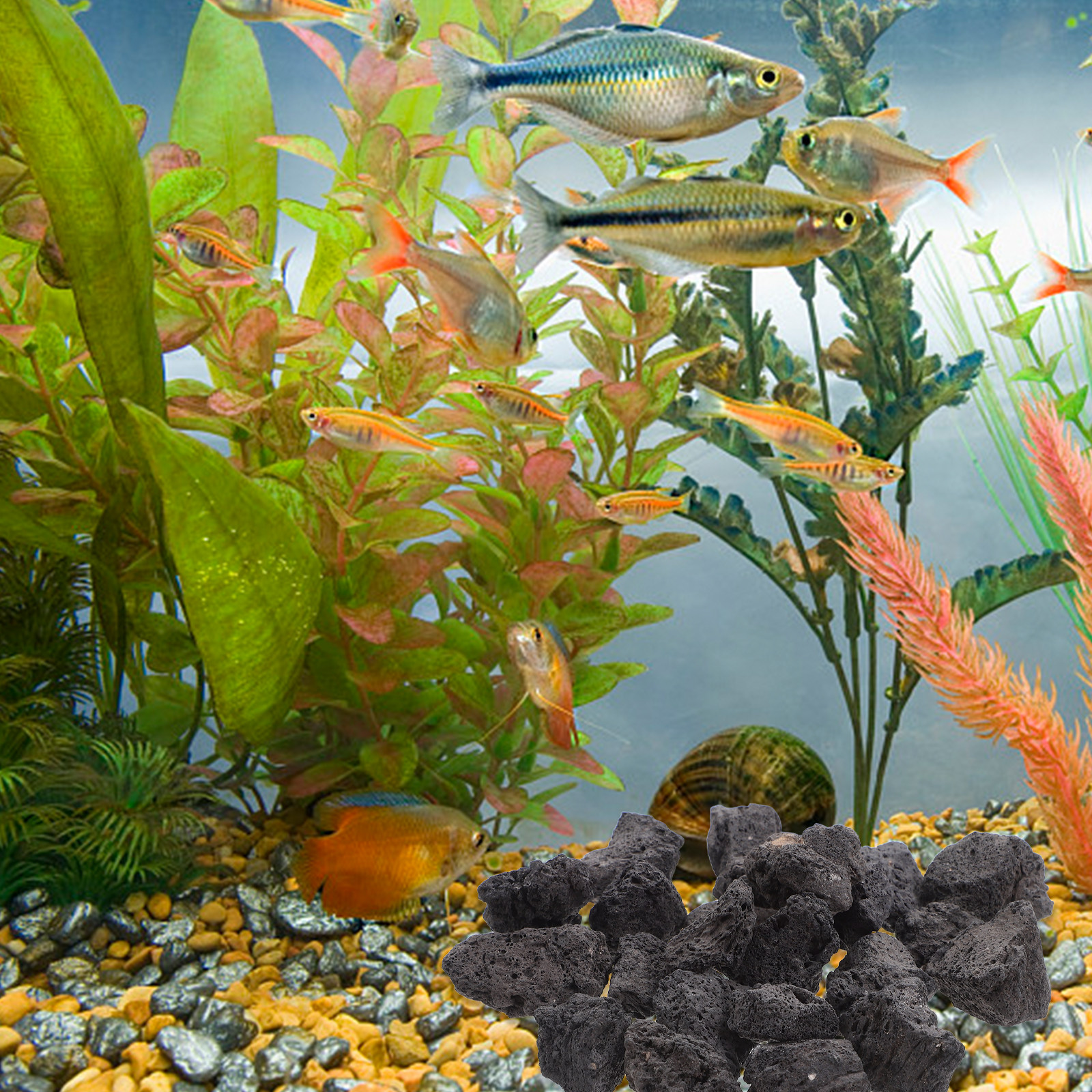 1Pack Volcanic Stone Fish Tank - огляд і ціна Aquarium Fish Pot