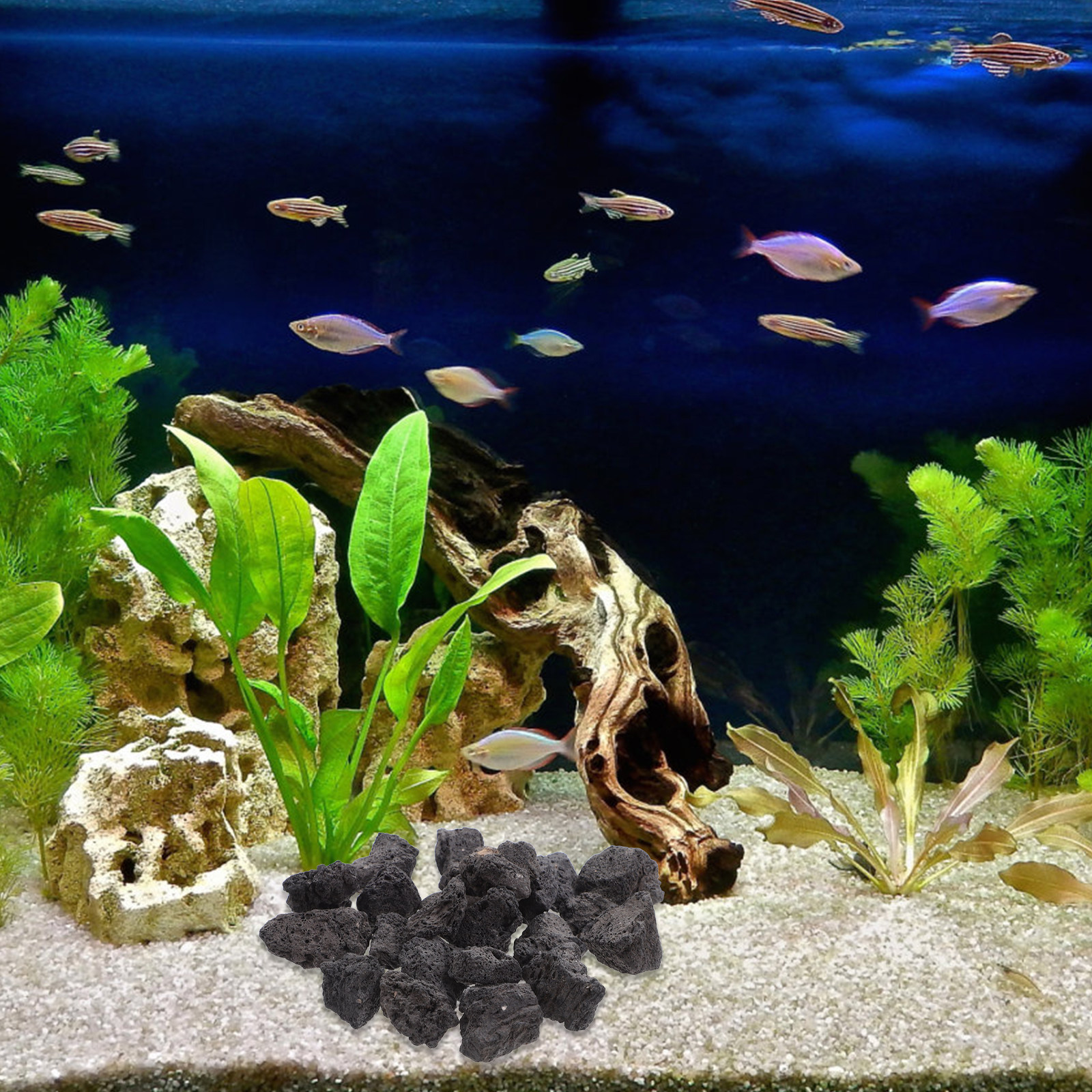1Pack Volcanic Stone Fish Tank - огляд і ціна Aquarium Fish Pot