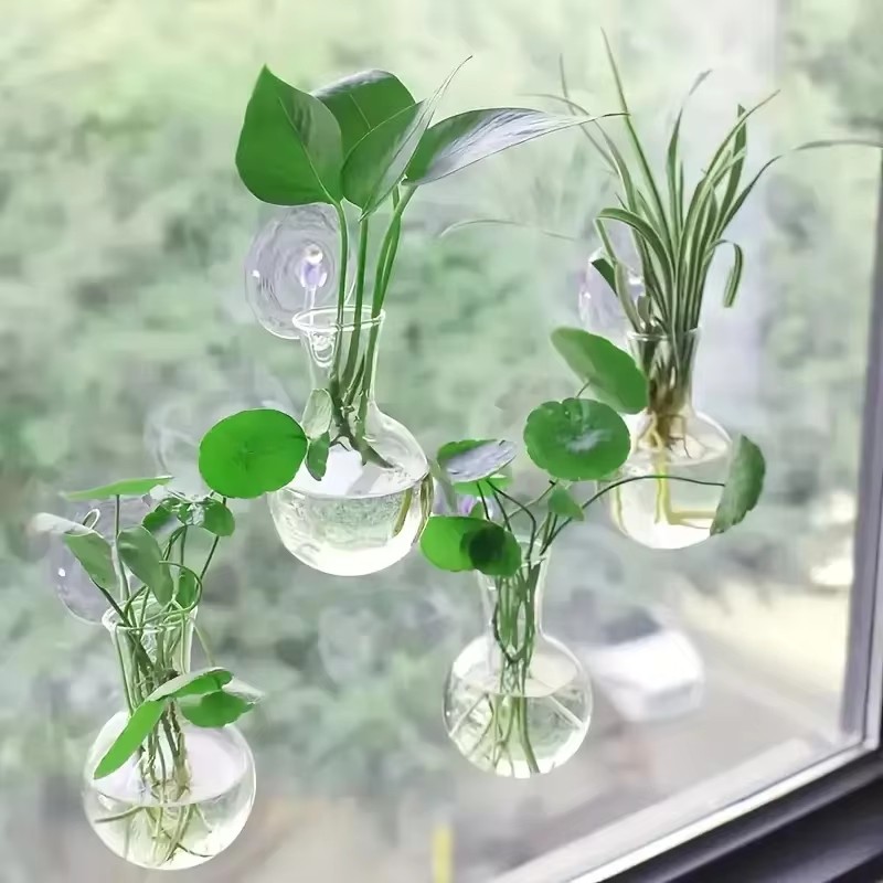 Creative Semi Circular Class W - огляд і ціна Aquarium Fish Names